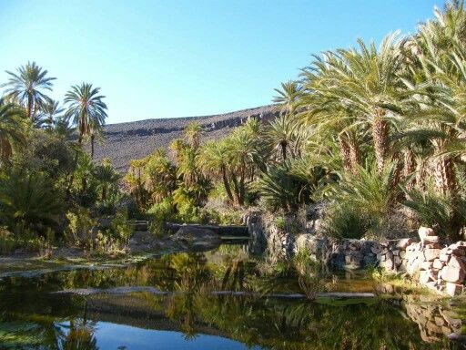 https://mdw-travel-data-us-east-1.s3.amazonaws.com/img/country/Morocco/Oasis-de-Fint/img_02.jpg