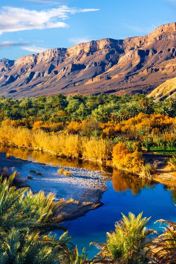 https://mdw-travel-data-us-east-1.s3.amazonaws.com/img/country/Morocco/Oasis-de-Fint/img_03.jpg