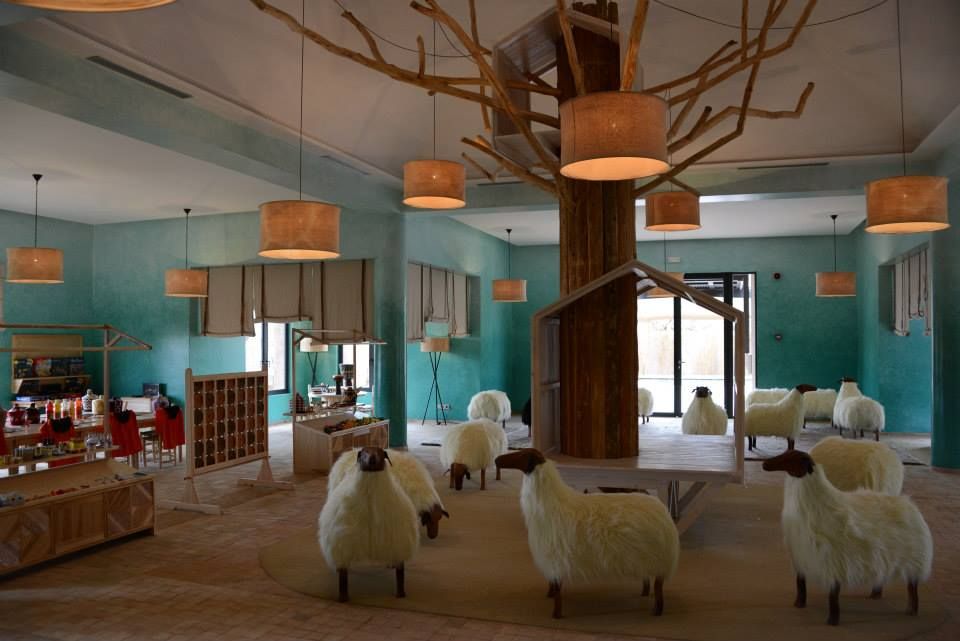 https://mdw-travel-data-us-east-1.s3.amazonaws.com/img/country/Morocco/Palms-Room/img_02.jpg