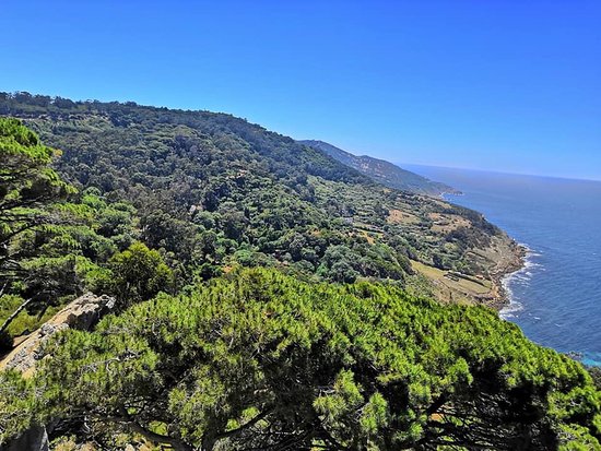 https://mdw-travel-data-us-east-1.s3.amazonaws.com/img/country/Morocco/Parc-Perdicaris/img_00.jpg