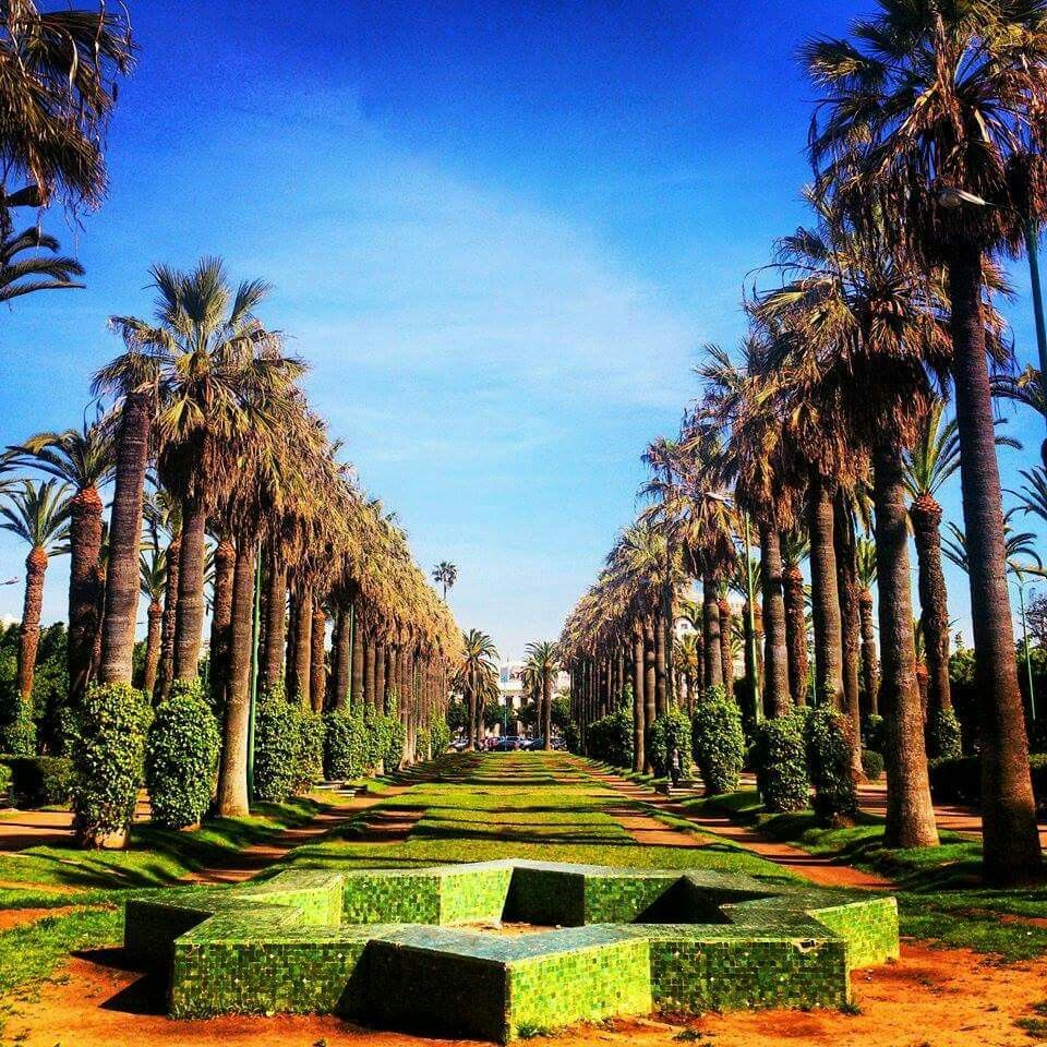 https://mdw-travel-data-us-east-1.s3.amazonaws.com/img/country/Morocco/Parc-de-la-Ligue-Arabe/img_03.jpg