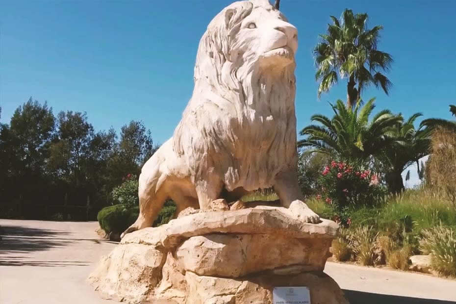 https://mdw-travel-data-us-east-1.s3.amazonaws.com/img/country/Morocco/Rabat-Zoo/img_03.jpg