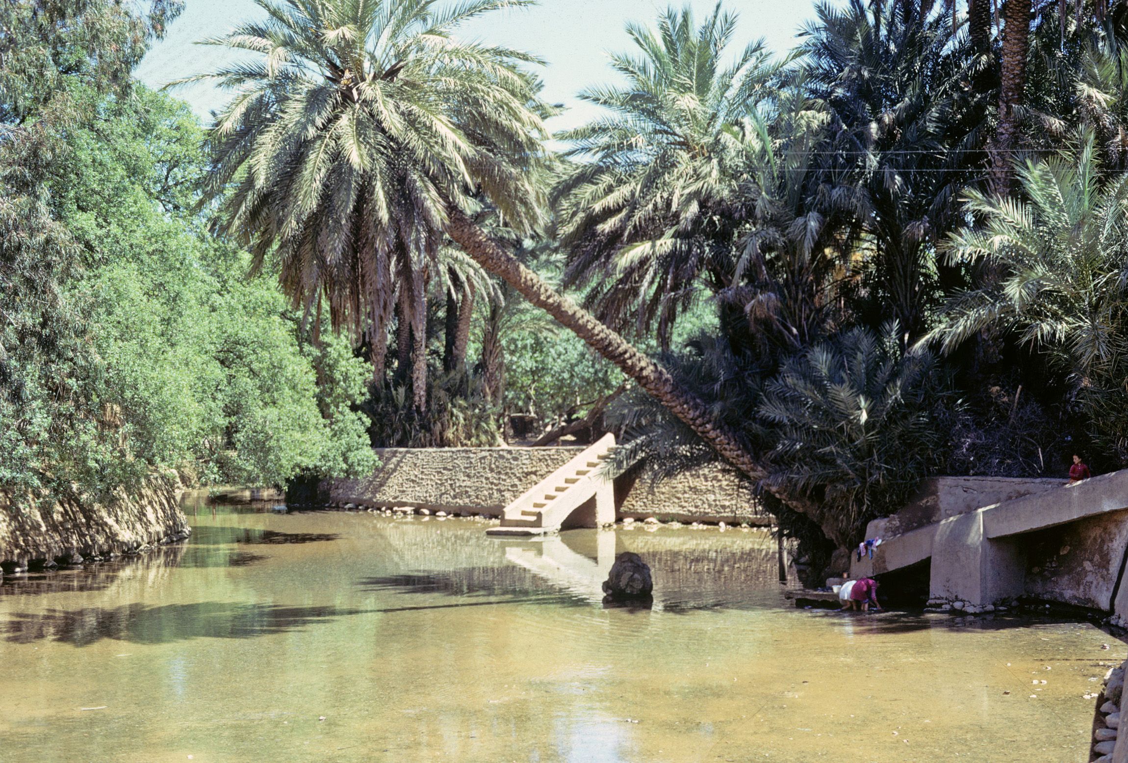 https://mdw-travel-data-us-east-1.s3.amazonaws.com/img/country/Morocco/Sidi-Boulfdail-Oasis/img_02.jpg