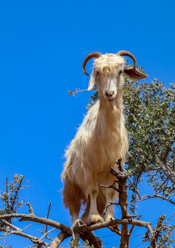 https://mdw-travel-data-us-east-1.s3.amazonaws.com/img/country/Morocco/Sidi-Mokhtar-Beach/img_02.jpg