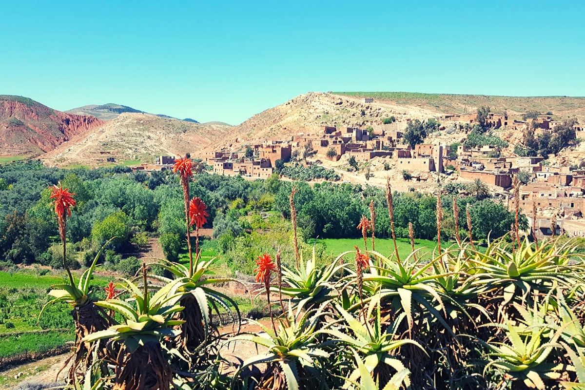 https://mdw-travel-data-us-east-1.s3.amazonaws.com/img/country/Morocco/Tdighilt-Village/img_03.jpg