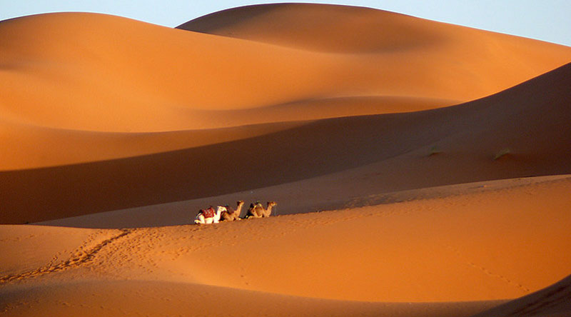 https://mdw-travel-data-us-east-1.s3.amazonaws.com/img/country/Morocco/Tinfou-Dunes/img_02.jpg