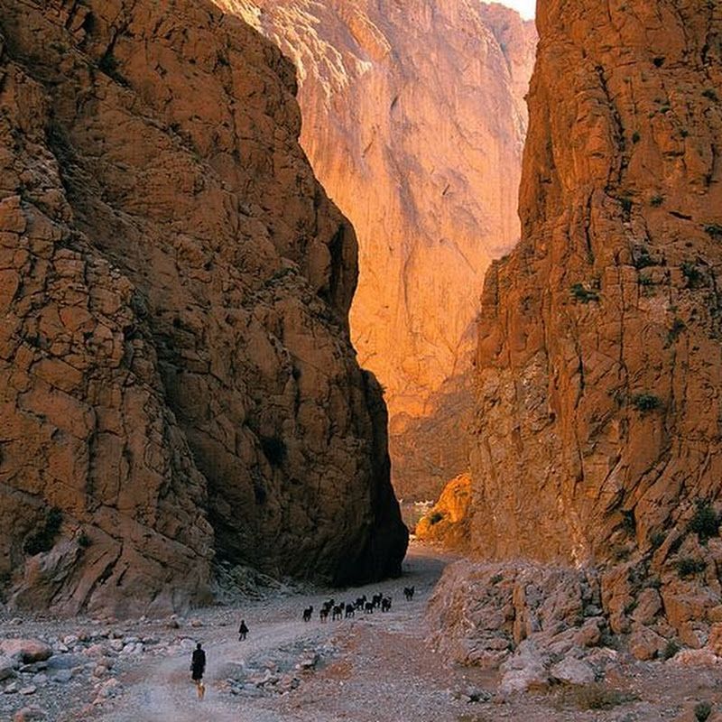 https://mdw-travel-data-us-east-1.s3.amazonaws.com/img/country/Morocco/Todra-Gorge/img_01.jpg