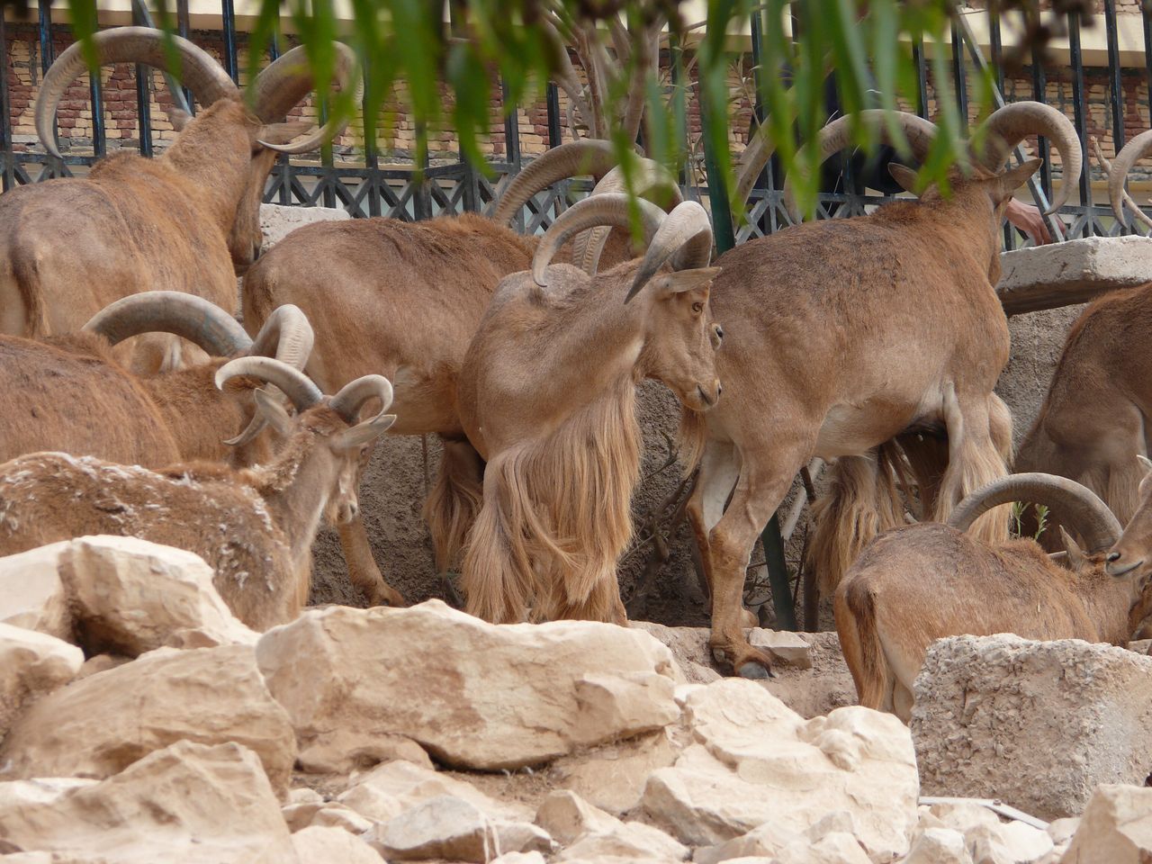 https://mdw-travel-data-us-east-1.s3.amazonaws.com/img/country/Morocco/Vallee-des-Oiseaux/img_00.jpg