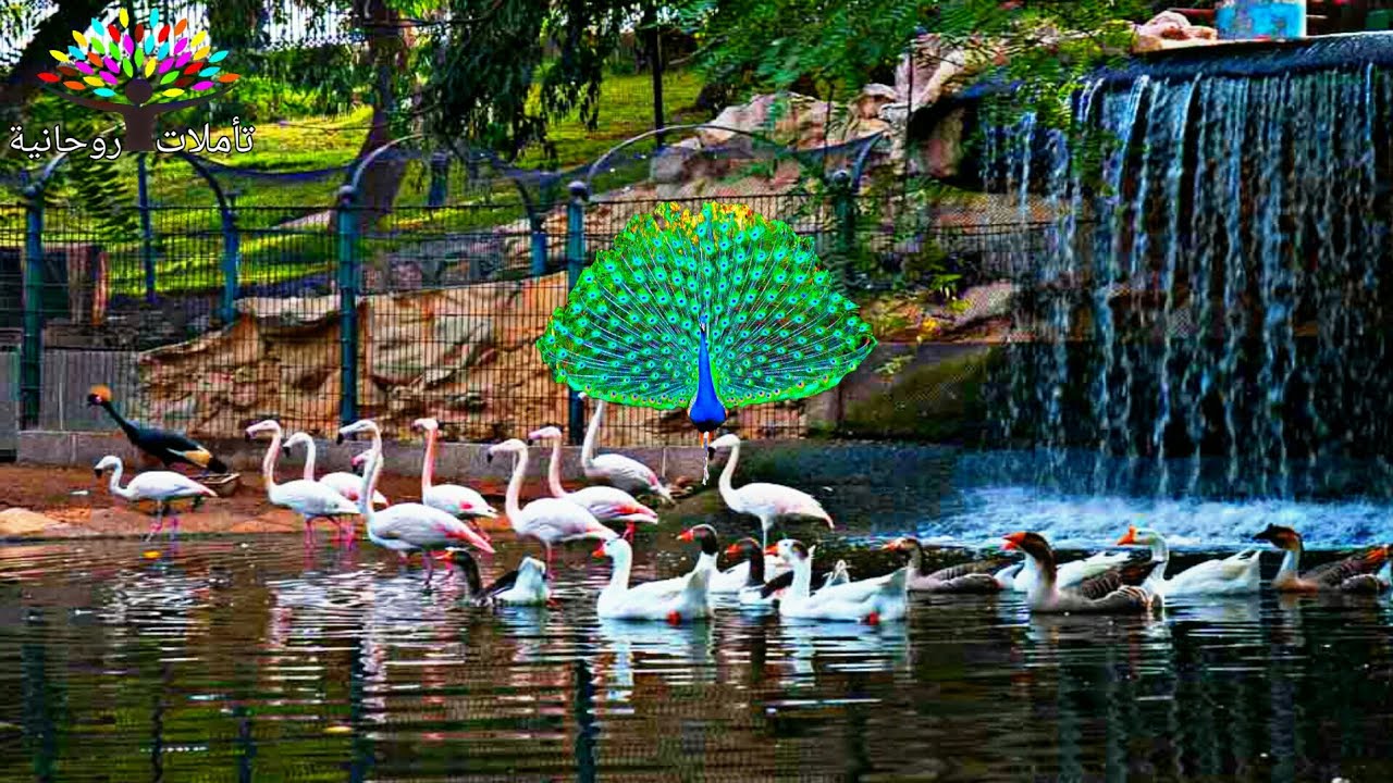 https://mdw-travel-data-us-east-1.s3.amazonaws.com/img/country/Morocco/Vallee-des-Oiseaux/img_01.jpg