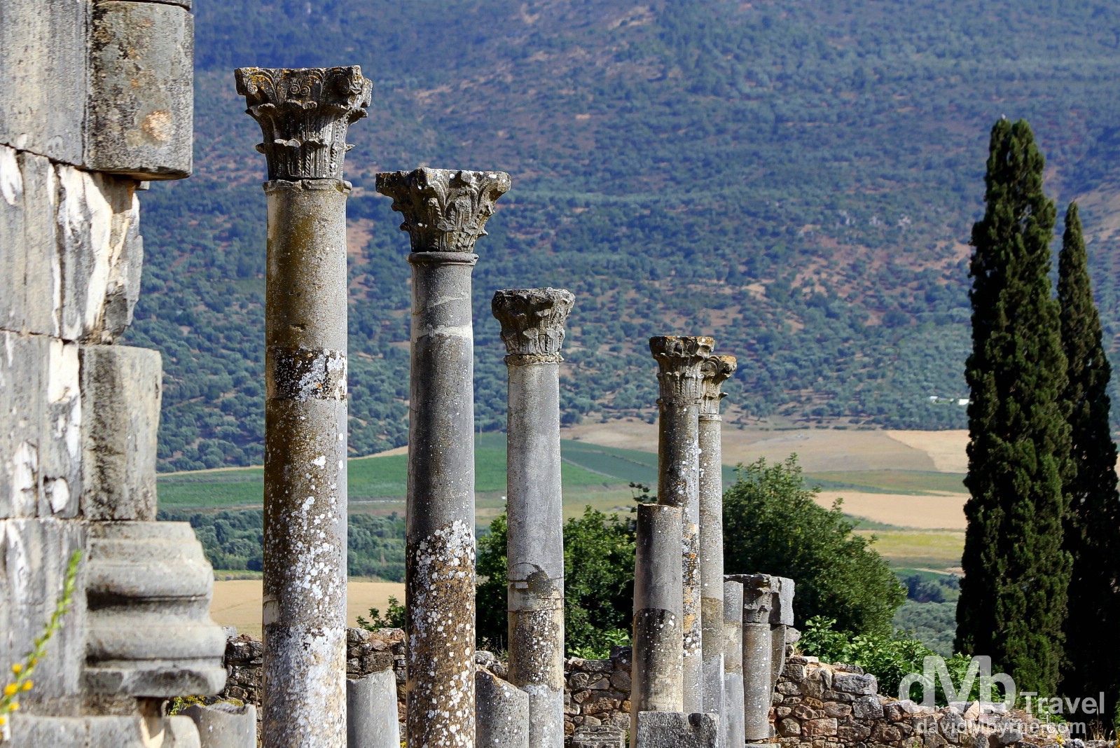 https://mdw-travel-data-us-east-1.s3.amazonaws.com/img/country/Morocco/Volubilis/img_04.jpg