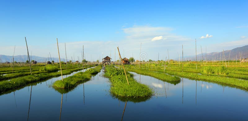 https://mdw-travel-data-us-east-1.s3.amazonaws.com/img/country/Myanmar/Floating-Gardens/img_01.jpg