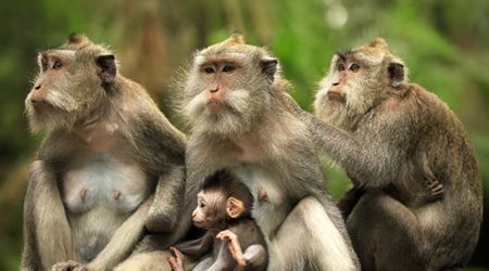 https://mdw-travel-data-us-east-1.s3.amazonaws.com/img/country/Myanmar/Hlawga-National-Park/img_02.jpg