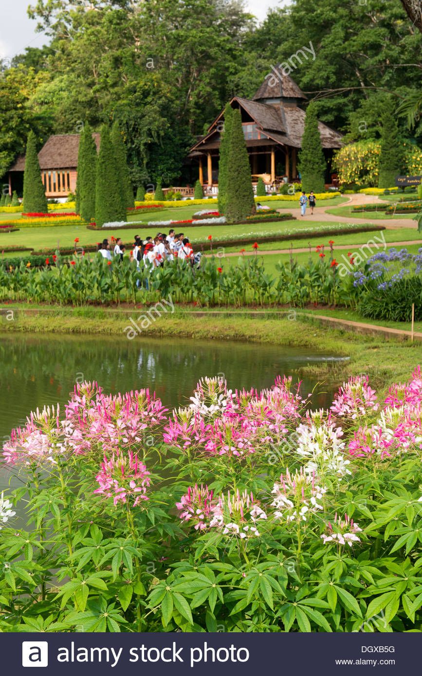 https://mdw-travel-data-us-east-1.s3.amazonaws.com/img/country/Myanmar/National-Kandawgyi-Botanical-Gardens/img_02.jpg