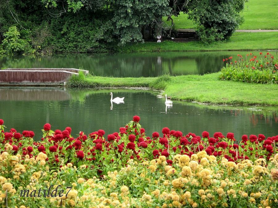 https://mdw-travel-data-us-east-1.s3.amazonaws.com/img/country/Myanmar/National-Kandawgyi-Gardens/img_01.jpg