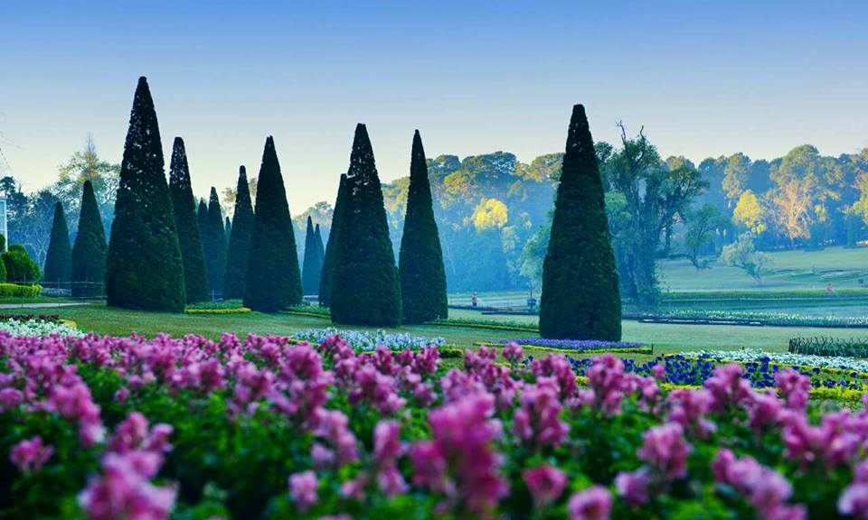 https://mdw-travel-data-us-east-1.s3.amazonaws.com/img/country/Myanmar/National-Kandawgyi-Gardens/img_02.jpg