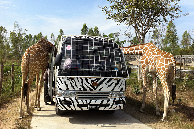 https://mdw-travel-data-us-east-1.s3.amazonaws.com/img/country/Myanmar/Naypyidaw-Safari-Park/img_02.jpg