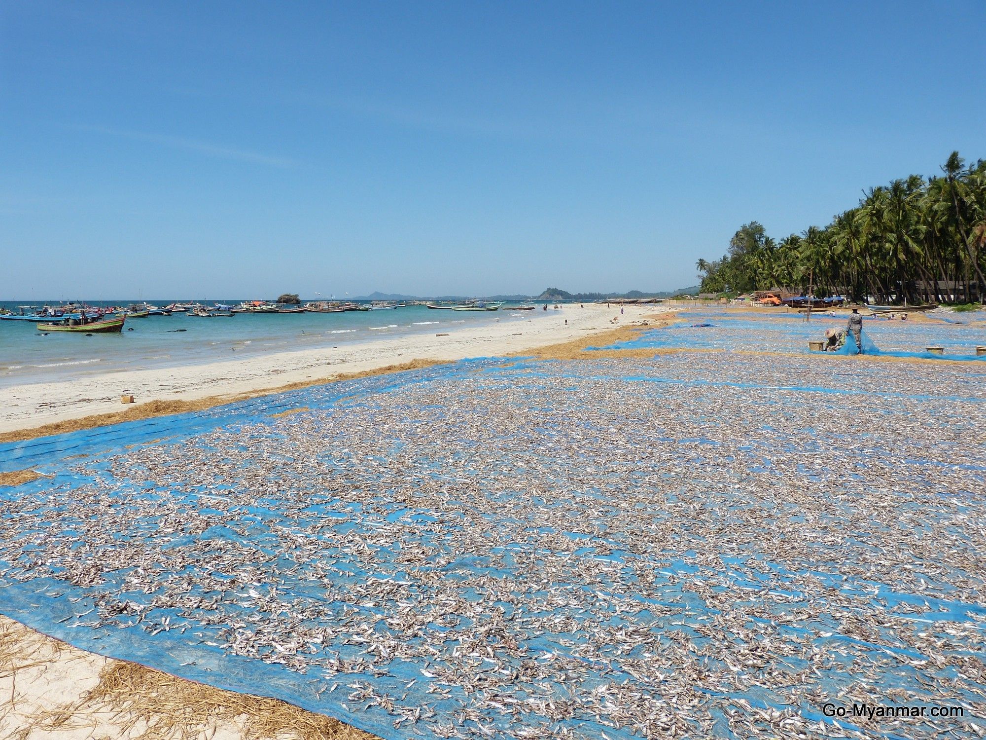 https://mdw-travel-data-us-east-1.s3.amazonaws.com/img/country/Myanmar/Ngapali-Jade-Taw-Kyun-Island/img_02.jpg