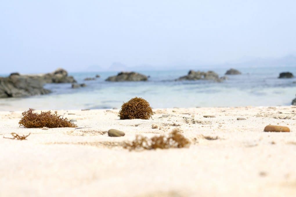 https://mdw-travel-data-us-east-1.s3.amazonaws.com/img/country/Myanmar/Pearl-Island/img_03.jpg