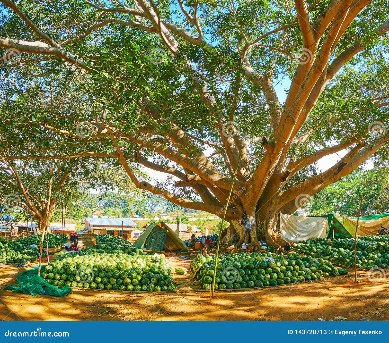 https://mdw-travel-data-us-east-1.s3.amazonaws.com/img/country/Myanmar/Pindaya-Market/img_03.jpg