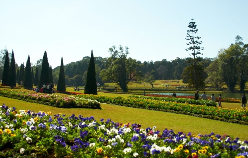 https://mdw-travel-data-us-east-1.s3.amazonaws.com/img/country/Myanmar/Pyin-Oo-Lwin-Central-Market/img_02.jpg