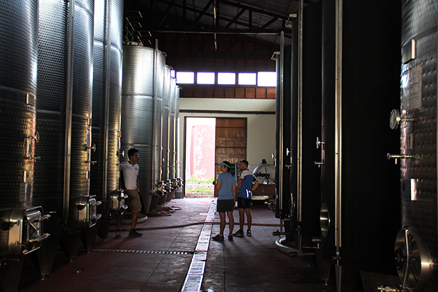 https://mdw-travel-data-us-east-1.s3.amazonaws.com/img/country/Myanmar/Red-Mountain-Estate-Vineyards-and-Winery/img_02.jpg