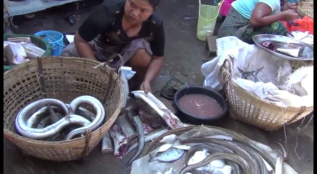 https://mdw-travel-data-us-east-1.s3.amazonaws.com/img/country/Myanmar/Thandwe-Market/img_03.jpg