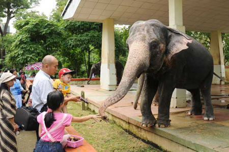 https://mdw-travel-data-us-east-1.s3.amazonaws.com/img/country/Myanmar/Yangon-Zoological-Gardens/img_01.jpg