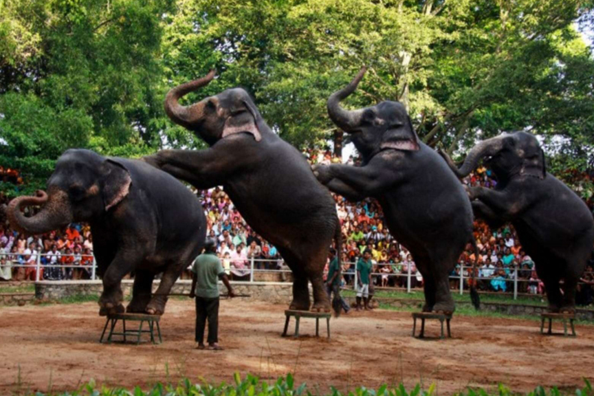https://mdw-travel-data-us-east-1.s3.amazonaws.com/img/country/Myanmar/Zoological-Gardens/img_01.jpg