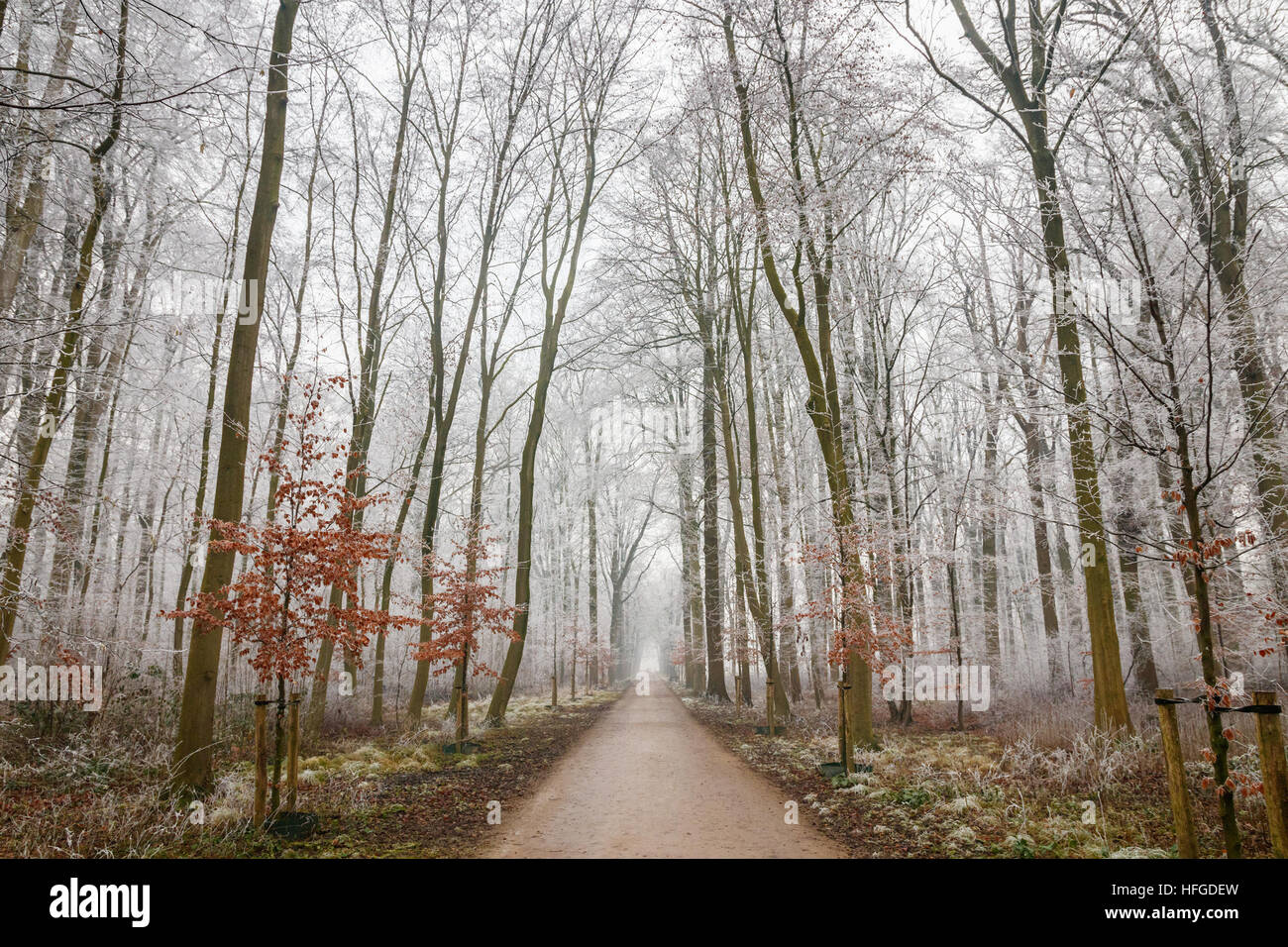 https://mdw-travel-data-us-east-1.s3.amazonaws.com/img/country/Netherlands/Amelisweerd-Estate-and-Forest/img_01.jpg
