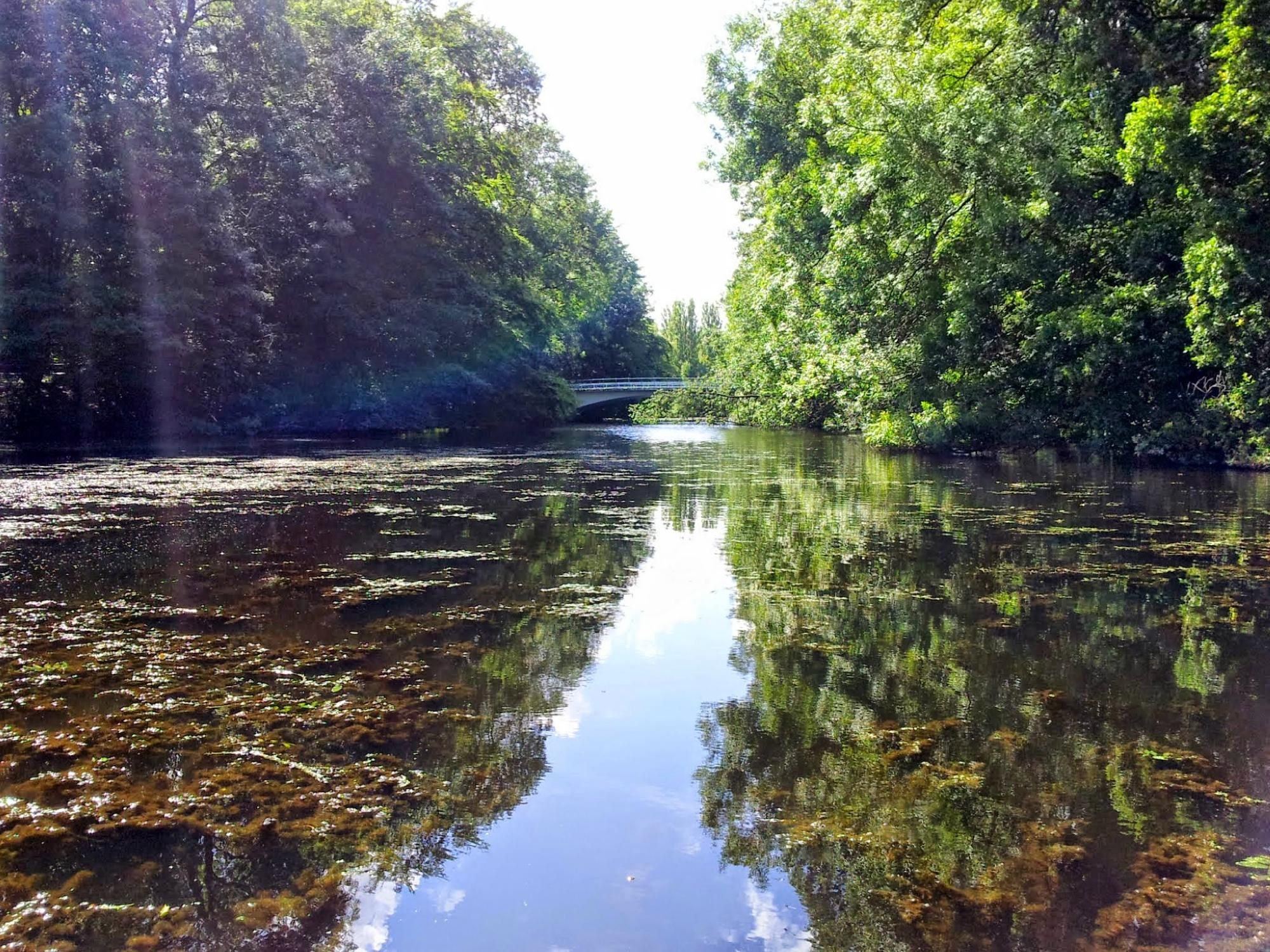 https://mdw-travel-data-us-east-1.s3.amazonaws.com/img/country/Netherlands/Amsterdamse-Bos/img_00.jpg