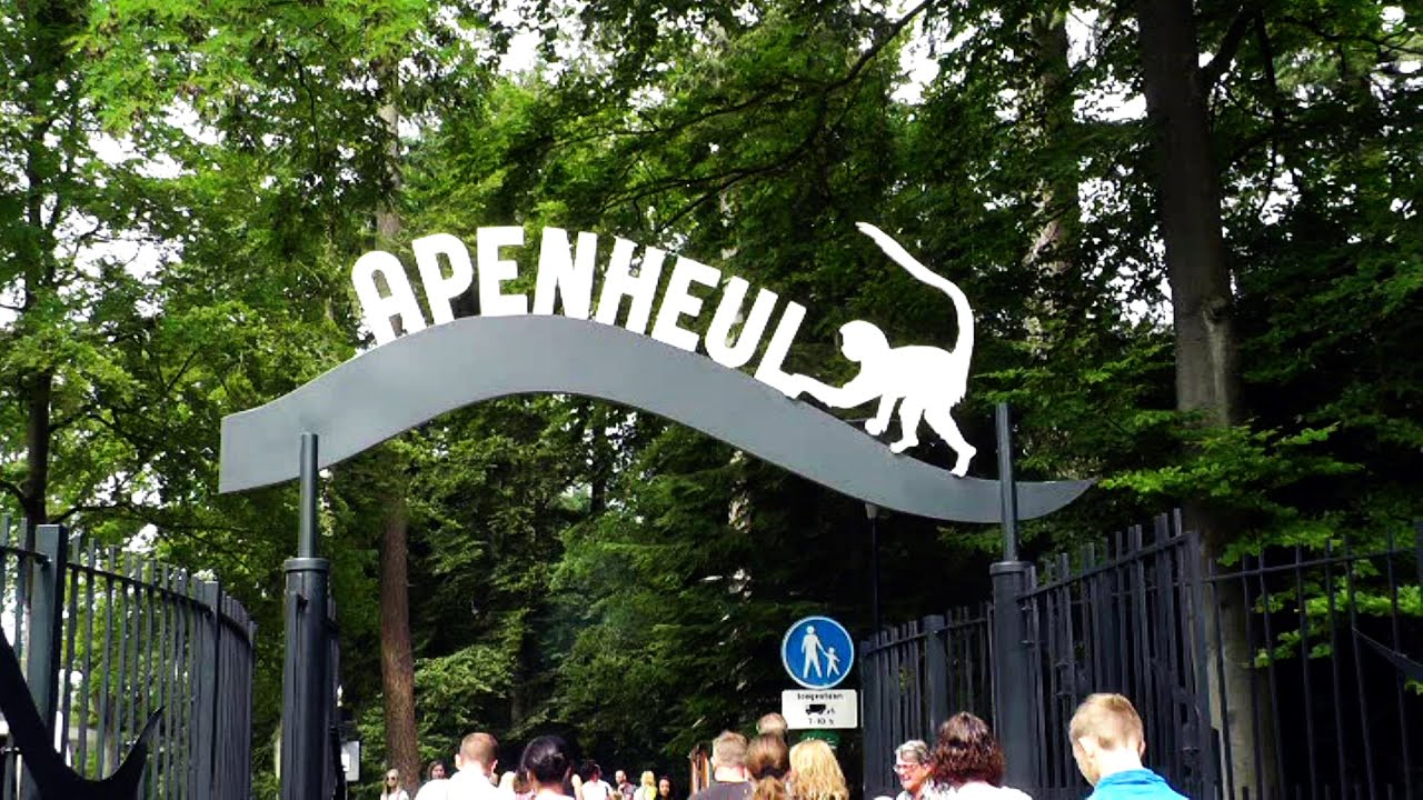 https://mdw-travel-data-us-east-1.s3.amazonaws.com/img/country/Netherlands/Apenheul-Primate-Park/img_00.jpg