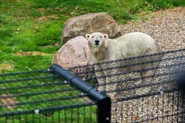 https://mdw-travel-data-us-east-1.s3.amazonaws.com/img/country/Netherlands/AquaZoo-Friesland/img_03.jpg