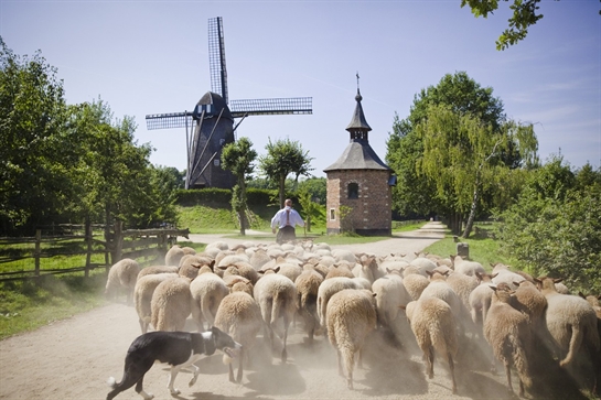https://mdw-travel-data-us-east-1.s3.amazonaws.com/img/country/Netherlands/Bokrijk/img_01.jpg