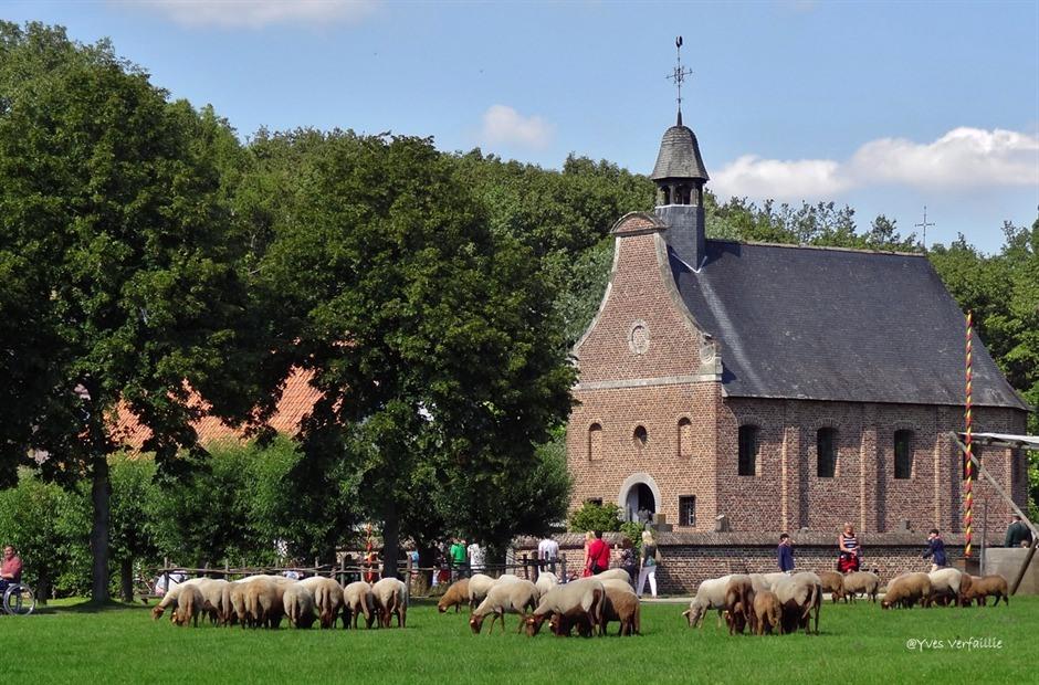 https://mdw-travel-data-us-east-1.s3.amazonaws.com/img/country/Netherlands/Bokrijk/img_03.jpg