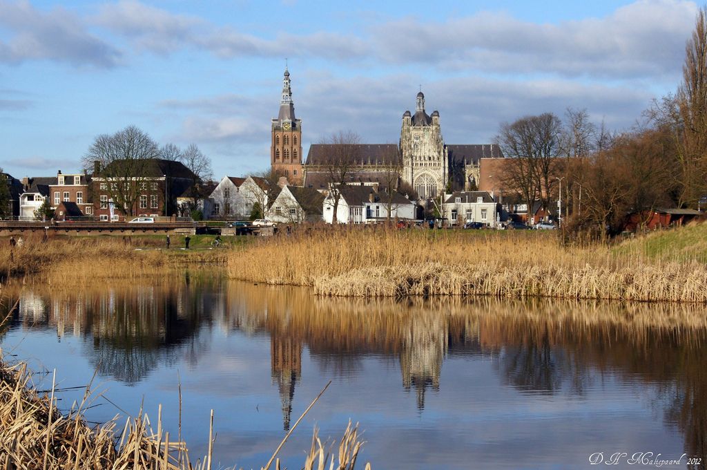 https://mdw-travel-data-us-east-1.s3.amazonaws.com/img/country/Netherlands/Bossche-Broek/img_00.jpg