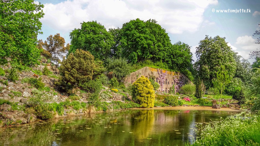 https://mdw-travel-data-us-east-1.s3.amazonaws.com/img/country/Netherlands/Botanic-Gardens-Utrecht/img_03.jpg