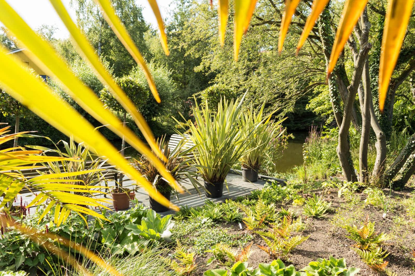 https://mdw-travel-data-us-east-1.s3.amazonaws.com/img/country/Netherlands/Botanical-Garden---TU-Delft/img_02.jpg