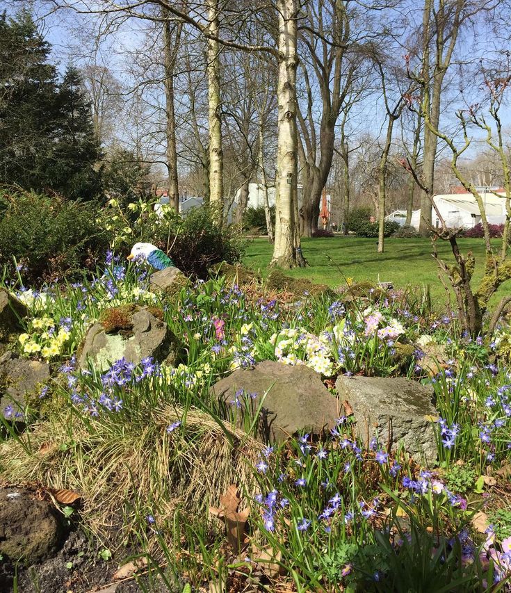 https://mdw-travel-data-us-east-1.s3.amazonaws.com/img/country/Netherlands/Botanical-Garden---TU-Delft/img_03.jpg
