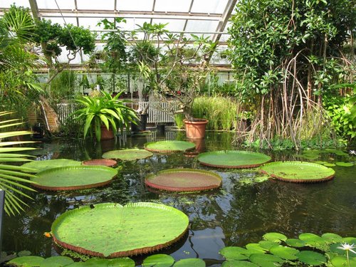 https://mdw-travel-data-us-east-1.s3.amazonaws.com/img/country/Netherlands/Botanical-Garden-TU-Delft/img_01.jpg