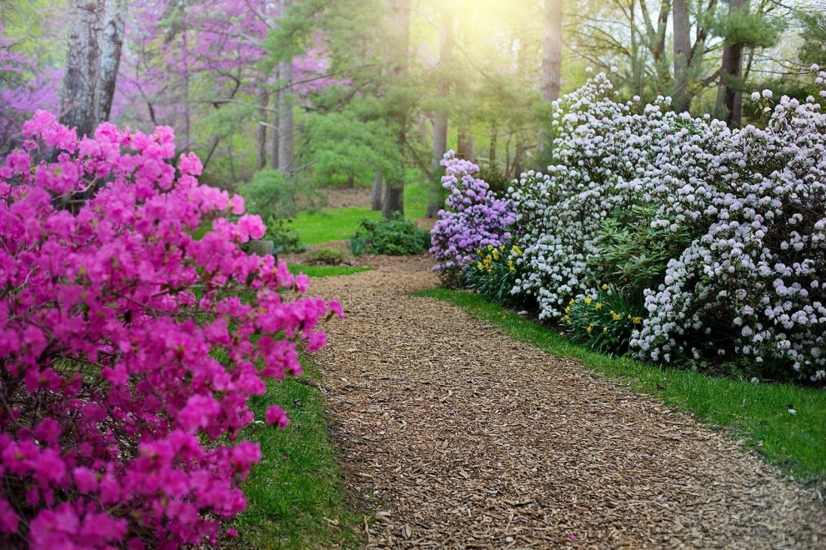 https://mdw-travel-data-us-east-1.s3.amazonaws.com/img/country/Netherlands/Botanical-Gardens/img_00.jpg