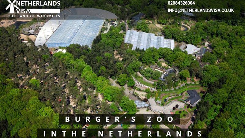 https://mdw-travel-data-us-east-1.s3.amazonaws.com/img/country/Netherlands/Burgers-Zoo/img_02.jpg