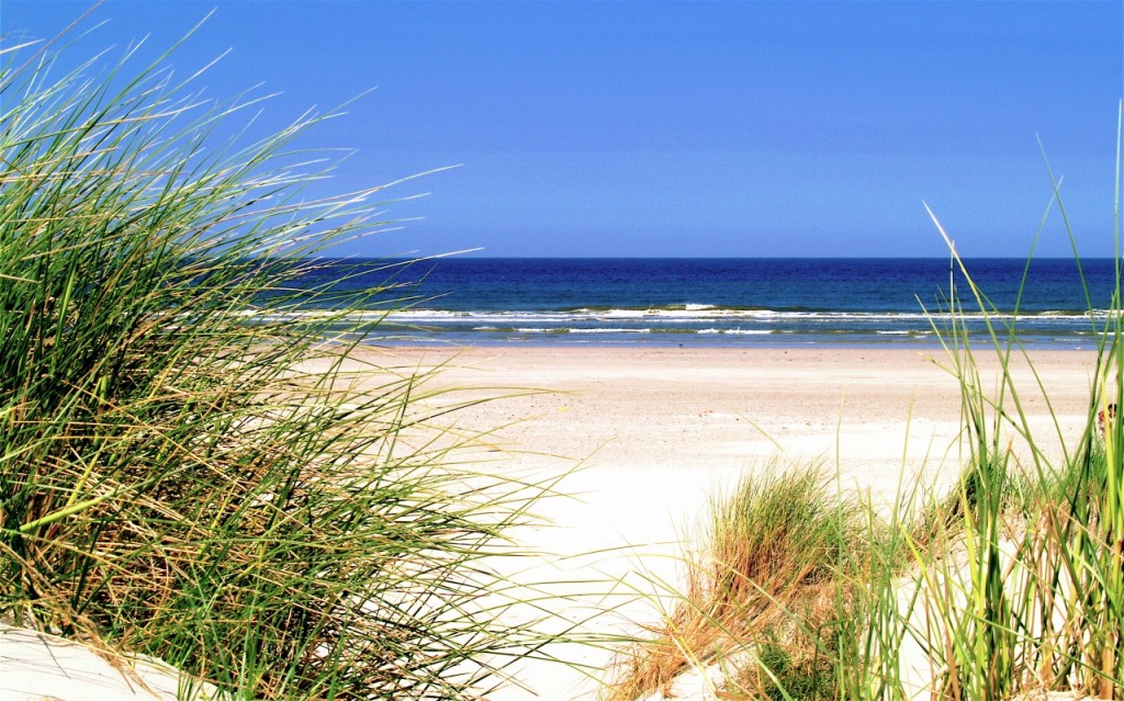 https://mdw-travel-data-us-east-1.s3.amazonaws.com/img/country/Netherlands/Charlies-Beach/img_03.jpg