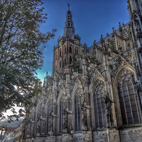 https://mdw-travel-data-us-east-1.s3.amazonaws.com/img/country/Netherlands/Church-of-St-Joseph/img_01.jpg