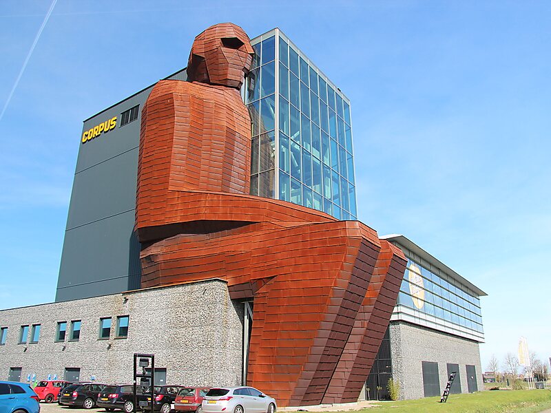 https://mdw-travel-data-us-east-1.s3.amazonaws.com/img/country/Netherlands/Corpus/img_01.jpg