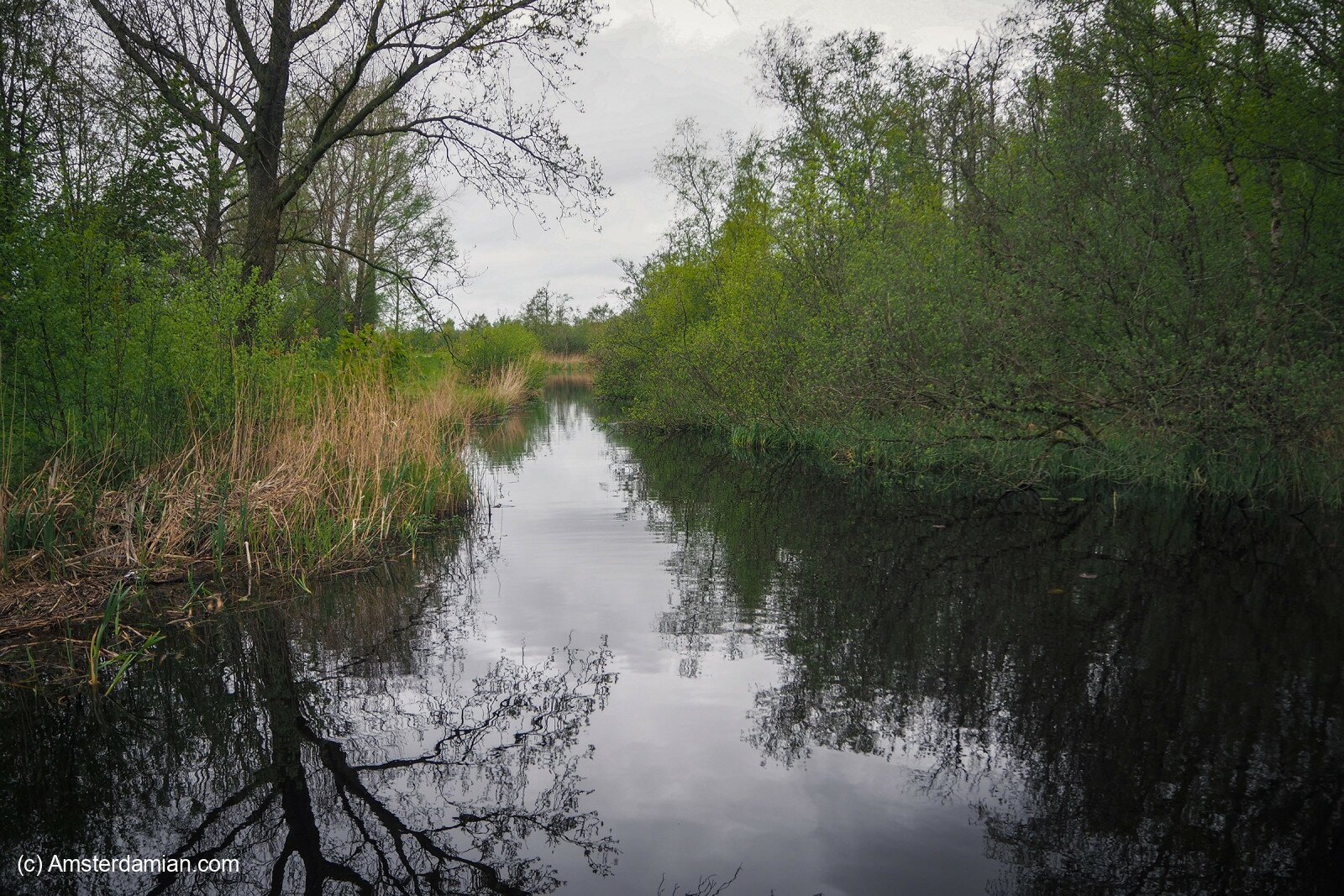 https://mdw-travel-data-us-east-1.s3.amazonaws.com/img/country/Netherlands/De-Alde-Feanen-National-Park/img_00.jpg
