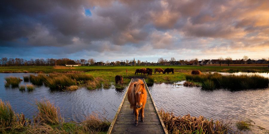 https://mdw-travel-data-us-east-1.s3.amazonaws.com/img/country/Netherlands/De-Alde-Feanen-National-Park/img_01.jpg