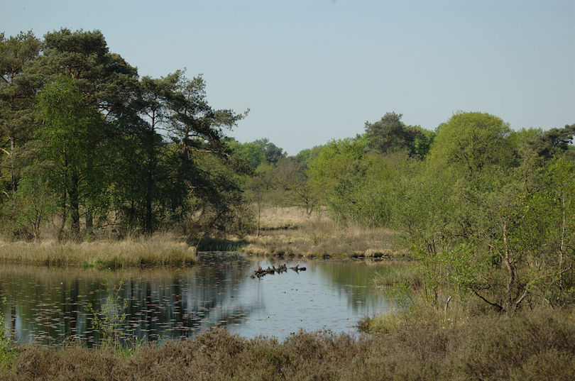 https://mdw-travel-data-us-east-1.s3.amazonaws.com/img/country/Netherlands/De-Meinweg-National-Park/img_03.jpg