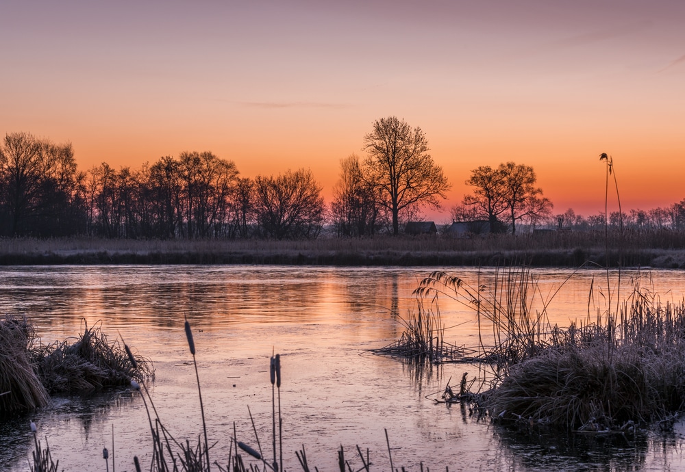 https://mdw-travel-data-us-east-1.s3.amazonaws.com/img/country/Netherlands/De-Weerribben-Wieden-National-Park/img_02.jpg