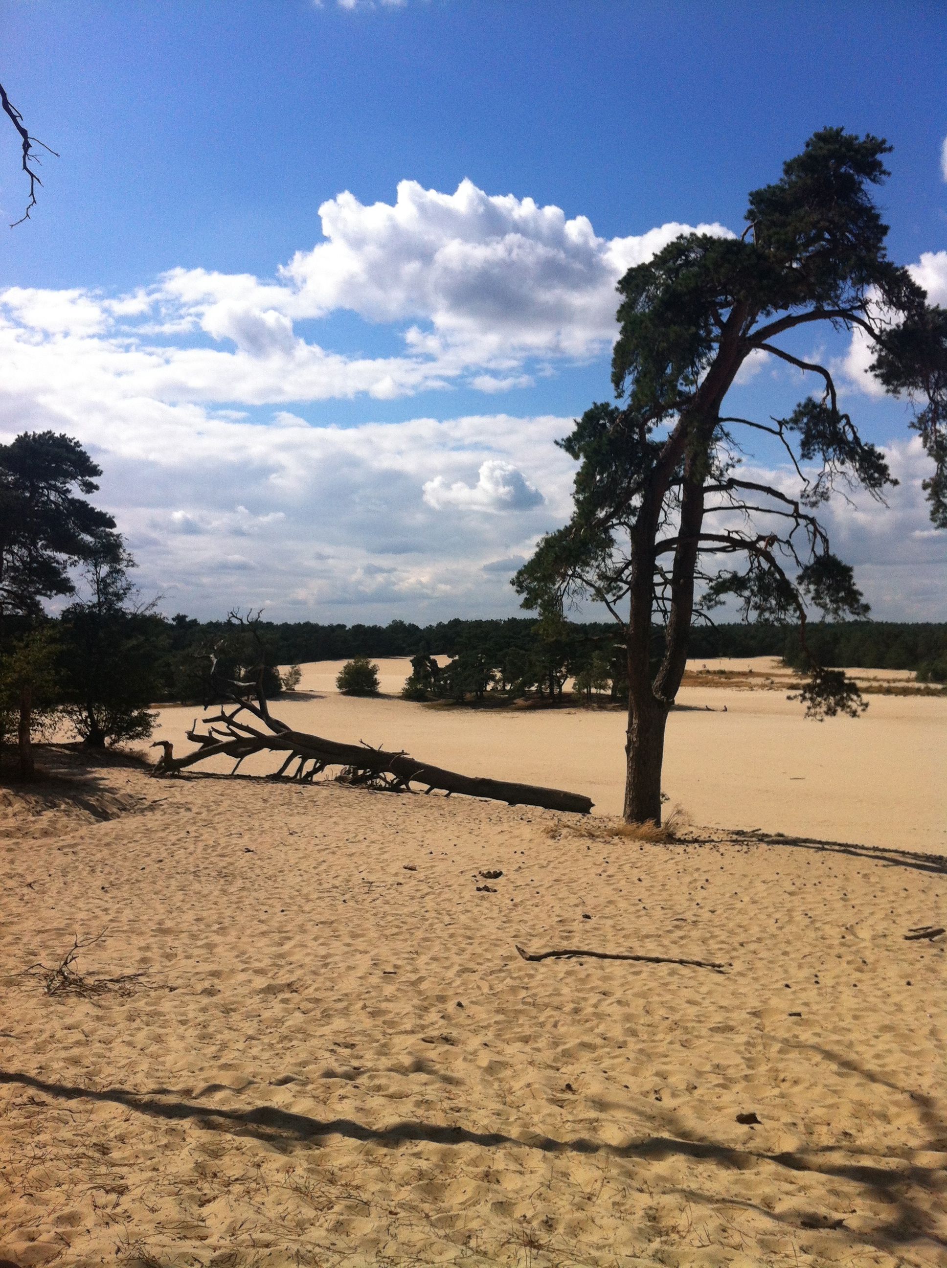 https://mdw-travel-data-us-east-1.s3.amazonaws.com/img/country/Netherlands/Drunense-Duinen/img_00.jpg