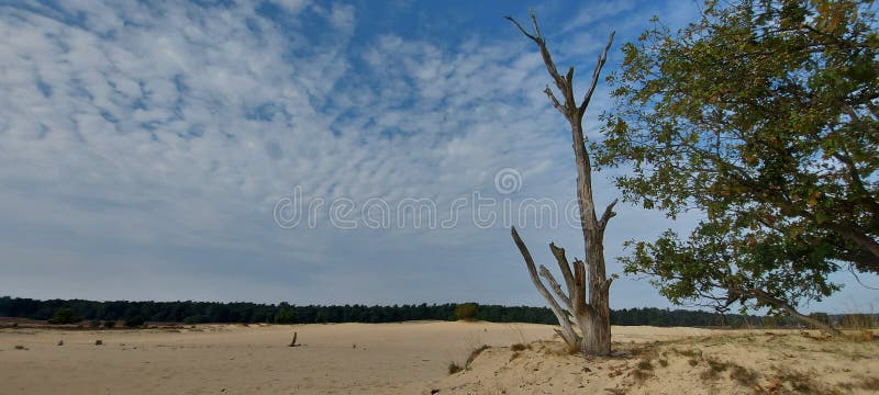 https://mdw-travel-data-us-east-1.s3.amazonaws.com/img/country/Netherlands/Drunense-Duinen/img_02.jpg